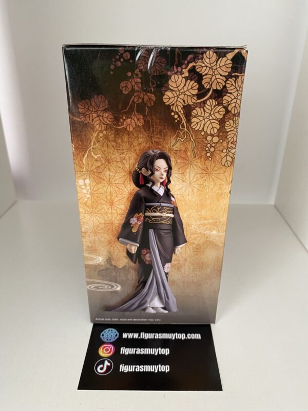 Figura Demon Slayer: Kimetsu No Yaiba - Demon Series - Vol.5 Muzan Kibutsuji - Imagen 9