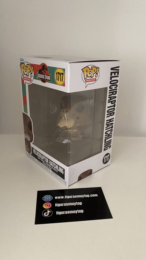 Funko POP Parque Jurásico Velociraptor Hatchling 1717 Jurassic Park - Imagen 3