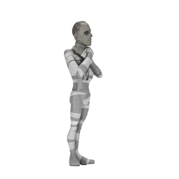 *AGOSTO 2025* Figura Neca THE MUMMY  BLACK & WHITE universal monsters Toony terrors 15cm - Imagen 3